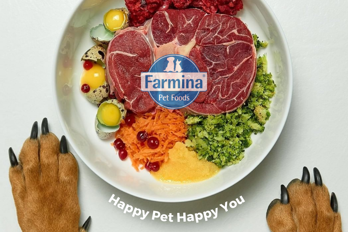 NOVEDAD FARMINA Pet Foods Alimentación Hiperpremium, Natural y